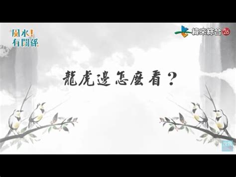 客廳龍邊虎邊|【客廳龍邊虎邊】掌握客廳龍邊虎邊三大風水，事業、。